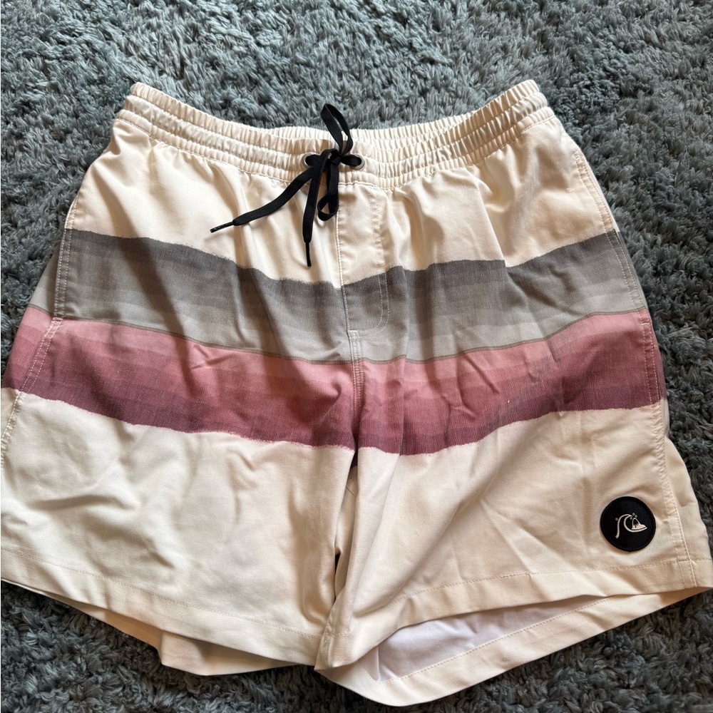 Quiksilver Men's Multicolor Swim Shorts